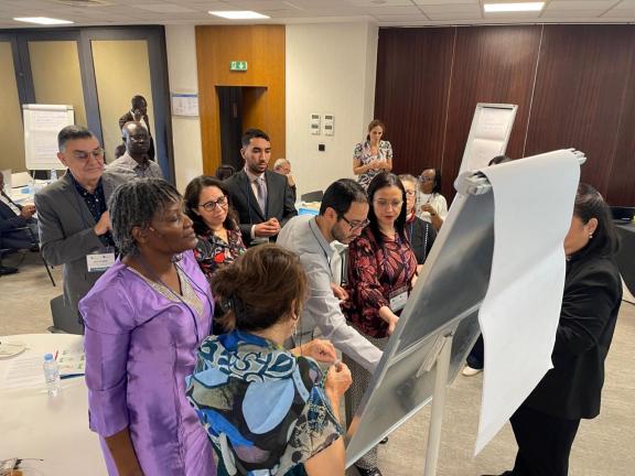 Participants engage in group exercises during the IRM workshop session.